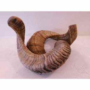 Par de Cuernos de Shofar Premium, Cuernos de Carnero Naturales Hechos a Mano de la Mejor Calidad, Instrumento Musical Tradicional Duradero para Uso Religioso - Product Image 2