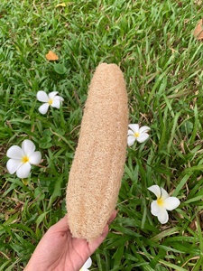 Premium Eco Friendly Natural Loofah Bath Sponge Organic Body Exfoliator <b>Zero</b> Waste Shower Sponge Made - Product Image 3