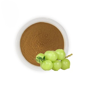 Polvo de Amla 100% Natural de Grado Alimenticio, Polvo Puro de Amla para Té, Bebidas y Aplicaciones Alimentarias, Proveedor a Granel de la India - Product Image 2