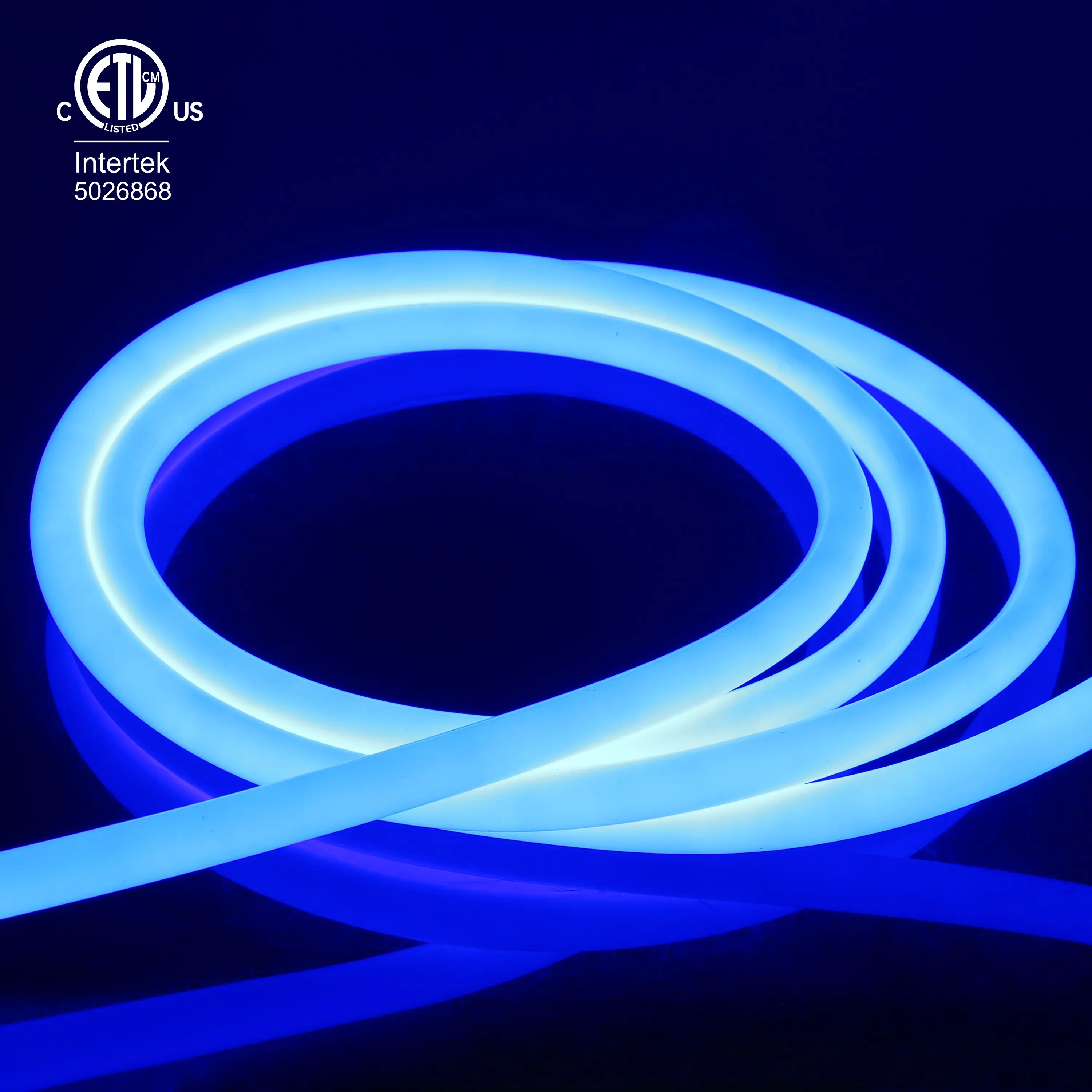 Raymates Led Neon Flexible Tube 360 Degree 18mm RGB Colorful Led Round Light Strip Luminous For Buildings