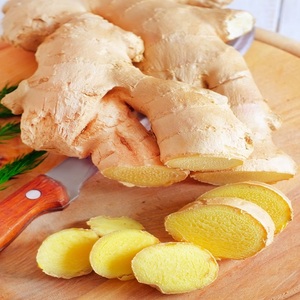 Gingembre frais biologique de haute qualité, cultivé naturellement en ferme, récolte de la nouvelle saison, épice racinaire de la meilleure qualité pour la cuisine et la santé, exportation - Product Image 6