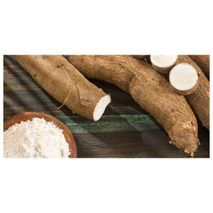 Almidón de yuca natural para panadería, postres, aperitivos, salsas, recetas sin gluten y suministro a granel para venta al por mayor internacional - Product Image 6