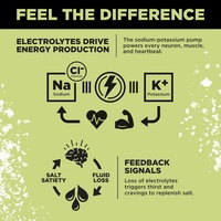 Compléments Sportifs Marque Blanche : Poudre d'Électrolytes Biologiques pour l'Hydratation, Saveurs Personnalisées, Sans Sucre, Énergie Certifiée Biologique