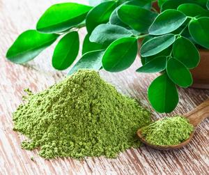Polvo de Moringa de Grado Alimenticio, Polvo de Hojas Finamente Molido de Primera Calidad, Ingrediente Botánico Natural para Suministro a Granel - Product Image 2