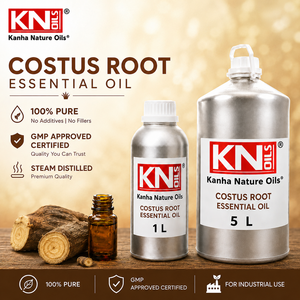 Aceite Esencial de Raíz de Costus 100% Puro, Venta al por Mayor, Fabricante, Saussurea lappa, Certificado Orgánico, Exportador Global - Product Image 2