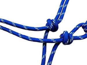 Custom Logo Equestrian Headstall Comfortable Horse Genuine Rope <b>Halter</b> with High Waist for Horse Racing - Product Image 5