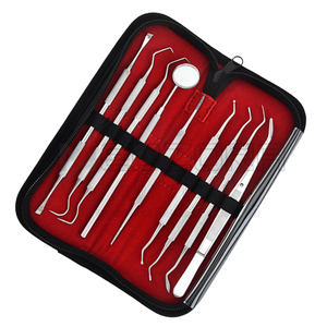 Juego de 9 Instrumentos Manuales de Titanio para Higiene Bucal, Estuche con Herramientas Dentales para Limpieza de Dientes y Encías, Removedor de Sarro, Cálculos y Placa, Quirúrgico - Product Image 2
