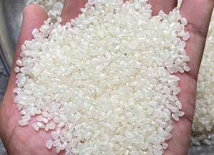 Riz blanc à grains courts, séché, texture moelleuse, haute qualité, vente en gros, marque IIglobal, origine Vietnam, pour usage en restauration - Product Image 3