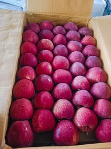 Manzanas Frescas de China - Royal <span class=keywords><strong>Gala</strong></span>/Fuji/Red Delicious 100% Naturales, Almacenadas en Frío, Empacadas en Caja, Dulces, Premium, Exportación a Granel - Product Image 2