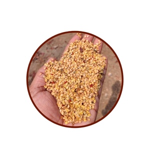 Graines de piment jaune du Cachemire de qualité supérieure, rendement élevé, couleur vive, épice aromatique, chaleur moyenne |   AD séché non-OGM, variété ancienne (Inde) - Product Image 1