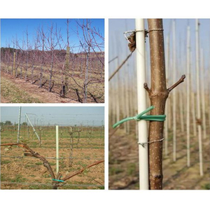 Fiberglass Garden Plant Stakes & Electric Fence Poles 3mm-18mm <b>Plastic</b> Support Sticks 5mm-12mm with Custom Cutting Service - Product Image 5