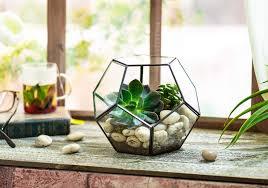 Terrario de Metal y Vidrio Negro Personalizado, Moderno, para Plantas de Interior, Suculentas, Plantas Aéreas y Terrarios DIY - Product Image 2