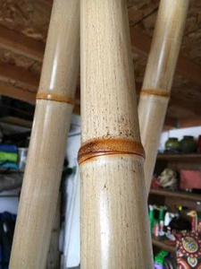 Bâtons de bambou naturel en gros, solides et résistants, pour l'agriculture et l'aménagement paysager - Product Image 6