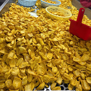 ขนุนอบแห้งออร์แกนิค 100% จากธรรมชาติ บรรจุภัณฑ์สุญญากาศแบบแพ็คใหญ่ สำหรับเป็นของขวัญ พร้อมคุณสมบัติรักษาความชุ่มชื้น - Product Image 1