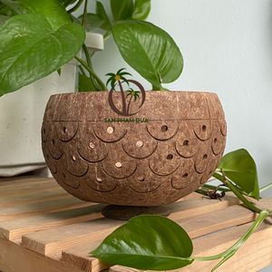 POT DE PLANTATION EN COQUE DE NOIX DE COCO LA PLUS VENTE/POT DE FLEUR EN COCO NATUREL FAIT À LA MAIN POUR DÉCOR DE JARDIN PRIX BON MARCHÉ - Product Image 4