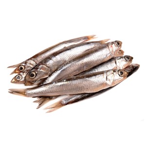 Anchoas frescas congeladas para mercados mayoristas y de exportación - Product Image 1