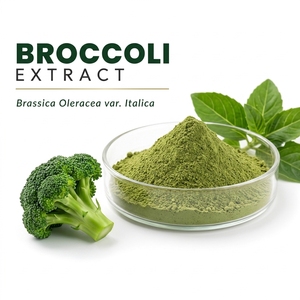 Poudre d'extrait de brocoli Brassica Oleracea Var Italica Extrait végétal naturel pour les formules alimentaires et nutritionnelles - Product Image 1