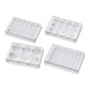 Microplaques Corning BioCoat revêtues de fibronectine pour l'adhérence cellulaire et la culture sans sérum - Product Image 1