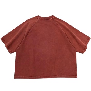 Camiseta Casual de Manga Corta para Hombre, Cuello Holgado, Tejido Grueso de 240 g/m², Ajuste Holgado y Cómodo, Diseño de Bloques de Color en Contraste - Product Image 2