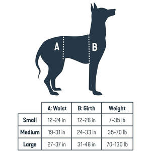 Arnés de Elevación para Perros de Cuerpo Completo, Soporte de Cadera para Mascotas Discapacitadas, Transpirable, Ajustable, para Rehabilitación, Venta al por Mayor - Product Image 6
