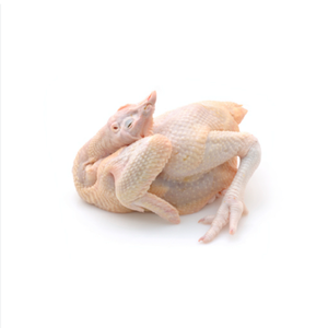 Pollo Entero Congelado Fresco IQF, Empaque de 25 kg, con Carne Nutritiva y 1 Año de Vida Útil - Product Image 1