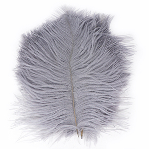 Plumas de Avestruz de Primera Calidad al por Mayor para Socios de la Cadena de Suministro Internacional - Product Image 3