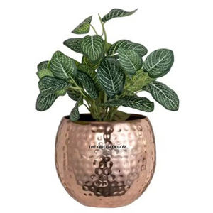 Macetas de Primera Calidad para Decoración de Interiores, Proveedores Mayoristas de Macetas con Diseño Moderno - Product Image 6