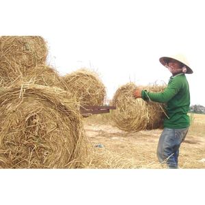 Meilleur produit agricole GIA GIA NGUYEN, paille de riz séchée, foin sec, fourrage sec du Vietnam pour la culture de champignons et l'alimentation animale - Product Image 6