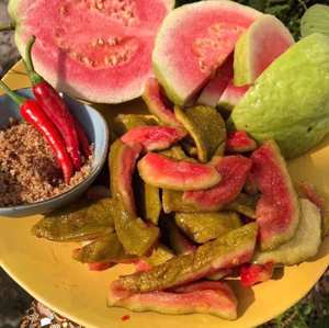 Guayaba seca suave de Vietnam, bocadillo tropical dulce natural para un estilo de vida saludable y exportación - Product Image 3