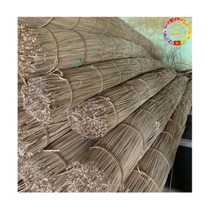 Raw Rattan Pole | Vietnam Supplier Natural Cane Bulk for Furniture <b>Frame</b> & Garden Use - Product Image 6