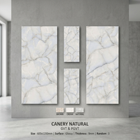 Foshan 600x1200mm Carreaux de sol en porcelaine antidérapants 24x48in Finition mate Dalles de céramique aspect marbre pour le marché du Sénégal