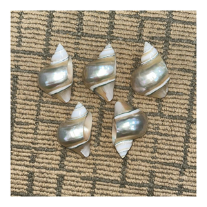 Anillos de Servilleta de Concha Natural Hechos a Mano al por Mayor para Importadores, Minoristas, Tiendas de Artículos para el Hogar y Empresas de Hostelería - Product Image 4