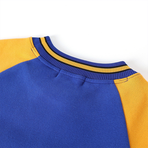 Sweat-shirt à col rond en chenille bicolore SGRho avec poches, personnalisable OEM, pull en molleton à col rond pour femmes avec lettres de sororité grecque - Product Image 5