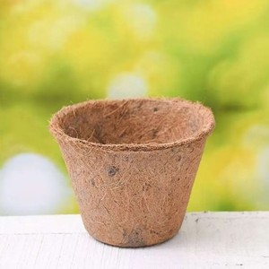 Jardinière de noix de coco du Vietnam biodégradable et écologique, pots compressés en coco naturel, prêt à être expédié - Product Image 6