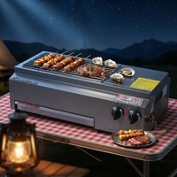 Barbecue au gaz en acier inoxydable de qualité supérieure DanFuQi, réduction du bruit, nettoyage facile, équipement commercial, garantie 1 an