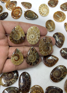 Radha Arts - Gemas Sueltas de Amonita Natural de Alta Calidad, Cabujón de Forma Mixta de 20-35 mm, para Fabricación de Joyería de Plata, Personalizable - Product Image 6