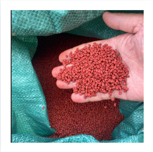 Graines d'annatto séchées en gros – Épice naturelle énergisante pour l'achat en vrac – Fournisseur professionnel pour les entreprises internationales de commerce alimentaire - Product Image 1