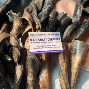 Par de Cuernos de Cabra Naturales con Acabado Natural para Decoración y Manualidades de Alta Calidad - Product Image 1