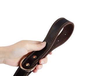 Collier de chien en cuir indien avec pointes, pour tambour, de haute qualité, avec boucles en laiton, Clips et motif de bande en Nylon - Product Image 4