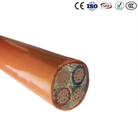 AS/NZS 5000.1 2/3 Adern + E/4c + Erdung 4mm2 6mm2 10mm2 16mm2 25mm2 35mm2 PVC-Ummanteltes Kupfer 500mm XLPE Rundkabel