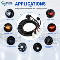 Kabel Harness Motor Kustom dengan Konektor Crimp & Selubung Kepang Kustom untuk Sensor/Lampu Kendaraan