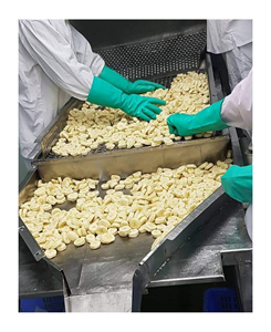 Bananes congelées en gros pour les usines de transformation alimentaire, les fabricants de boissons et les marchés d'importation internationaux - Product Image 5