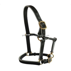 Premium Wholesale Popular Luxurious Elegant Perfect Adjustable Fashionable Padded Leather Horse <b>Halter</b> - Product Image 6