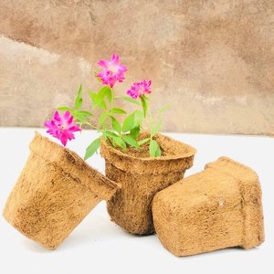 Macetas de fibra de coco para viveros al por mayor, otros suministros de jardinería a bajo precio, macetas de fibra de coco para plantar. - Product Image 4