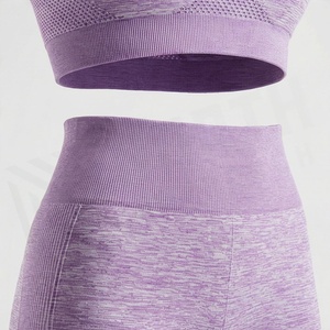 Women's Seamless Yoga Set Racerback Sports Bra and High Waist <b>Leggings</b> Two Piece <b>Activewear</b> Outfit - Product Image 5