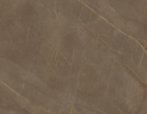 กระเบื้องปูพื้นและผนังลายพอร์ซเลนสไตล์โมเดิร์น สีกาแฟ ผิวด้าน เนื้อแน่น ขนาด 60x120 ซม. ทนกรด กันลื่น - Product Image 3