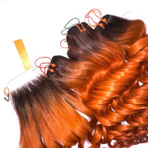 Extensions de Cheveux Humains Vietnamiens Ondulés Ombrés de Qualité Supérieure à Prix Compétitif, Lot de Bundles avec Closure 2026 - Product Image 3