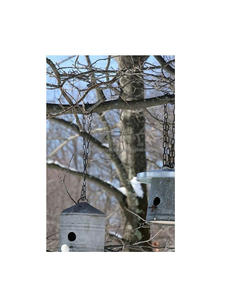 Nichoir unique en métal pour oiseaux, abri suspendu décoratif pour jardin, lieu de nidification extérieur pour petits oiseaux - Product Image 5