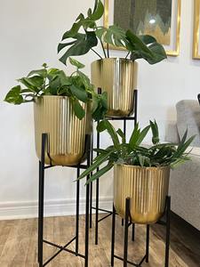 <b>Set</b> Of 2 Gold Planters With Black Stand Base Ideal For Living Room Side <b>Corner</b> Entrance Lobby And Restaurant Decor From India - Product Image 5