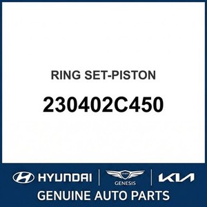 Nouveaux pistons et segments 230402C450 - Product Image 1